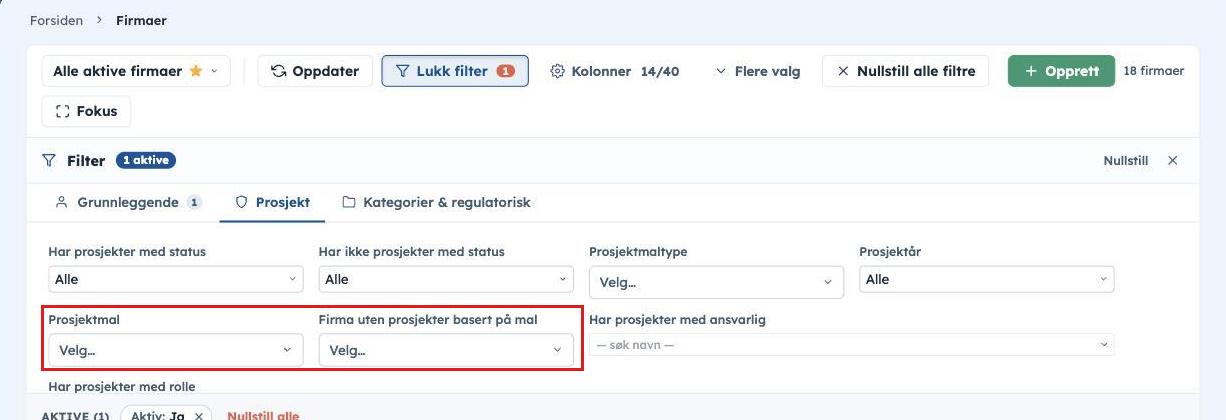 Filteret i firmalista, fanen Prosjekt