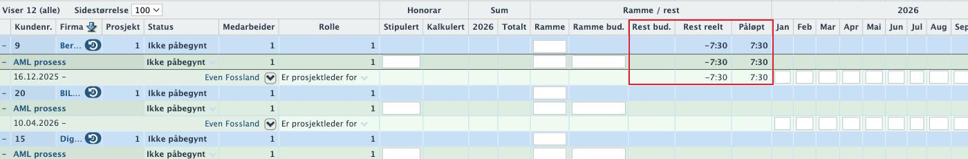 Kolonnene Ramme, Ramme bud., Rest bud., Rest reelt og Påløpt