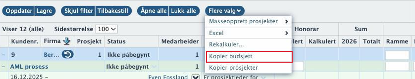 Menyen Flere valg med valget Kopier budsjett