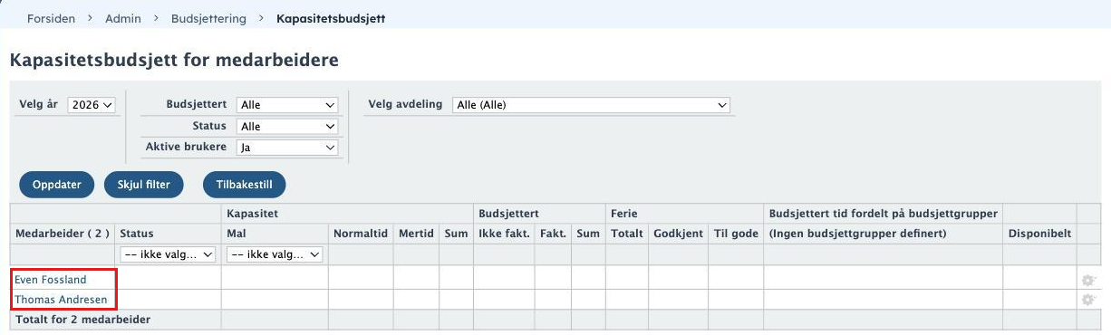 Admin, Budsjettering, Kapasitetsbudsjett for medarbeidere